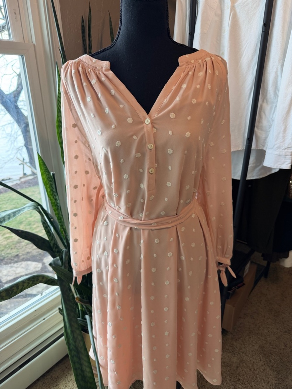 Women's Blush Pink Long Sleeve Button Front Dress